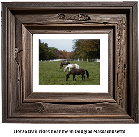 horse trail rides near me in Douglas, Massachusetts